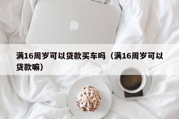 满16周岁可以贷款买车吗(满16周岁可以贷款嘛)